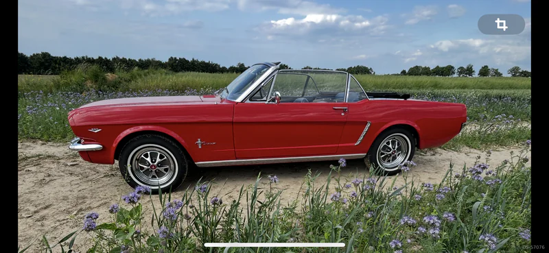 1965 Ford Mustang in Erwitte 5
