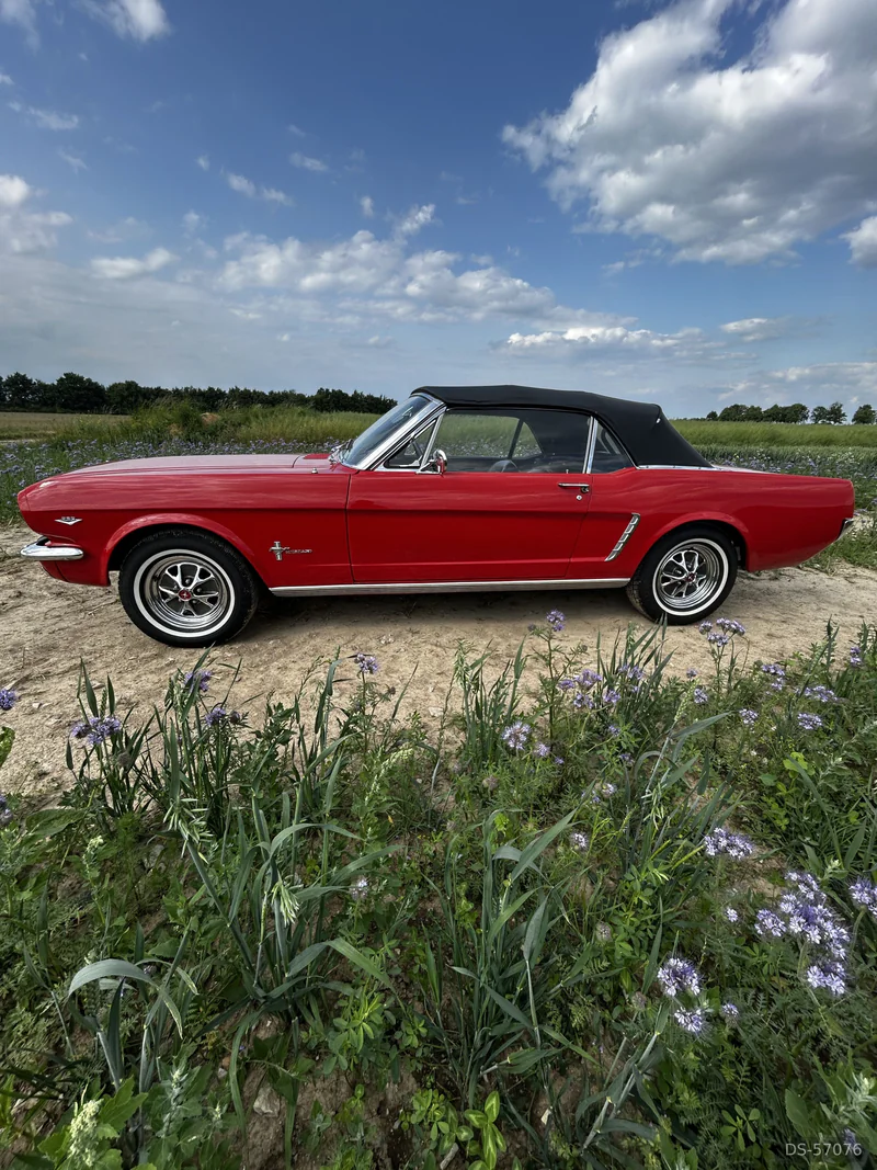 1965 Ford Mustang in Erwitte 2