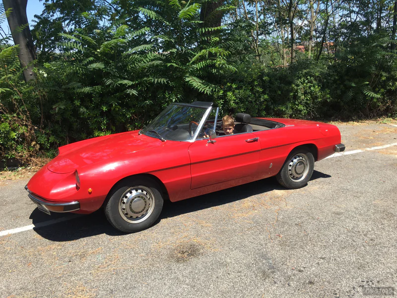 1971 Alfa Romeo Spider in Roma
