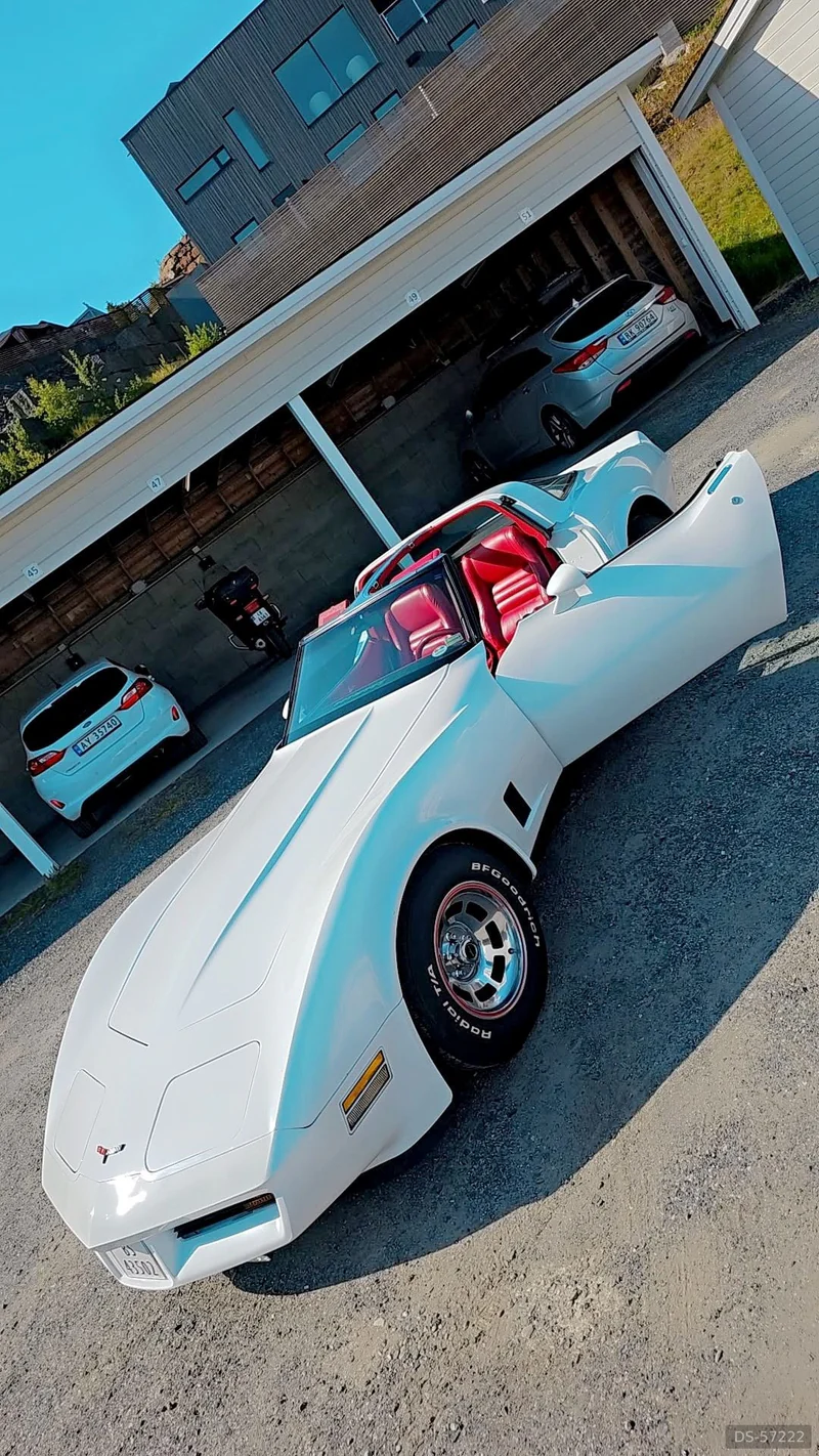 1981 Chevrolet Corvette in Stathelle 6