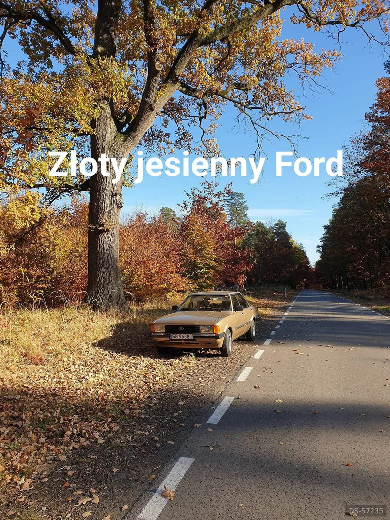 1982 Ford Taunus in Pilchowice 5