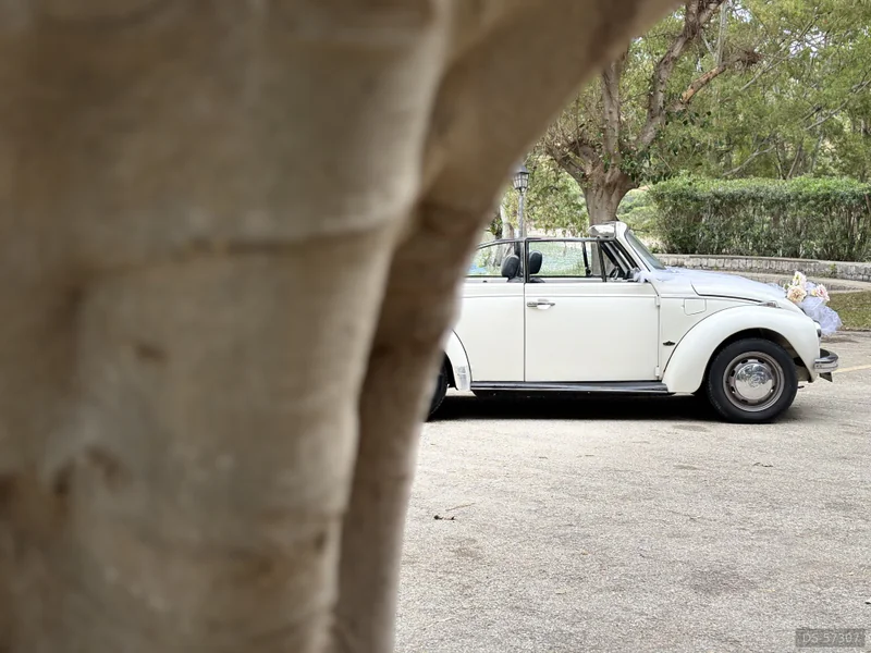 1973 Volkswagen Maggiolino Cabrio in Lentini 10