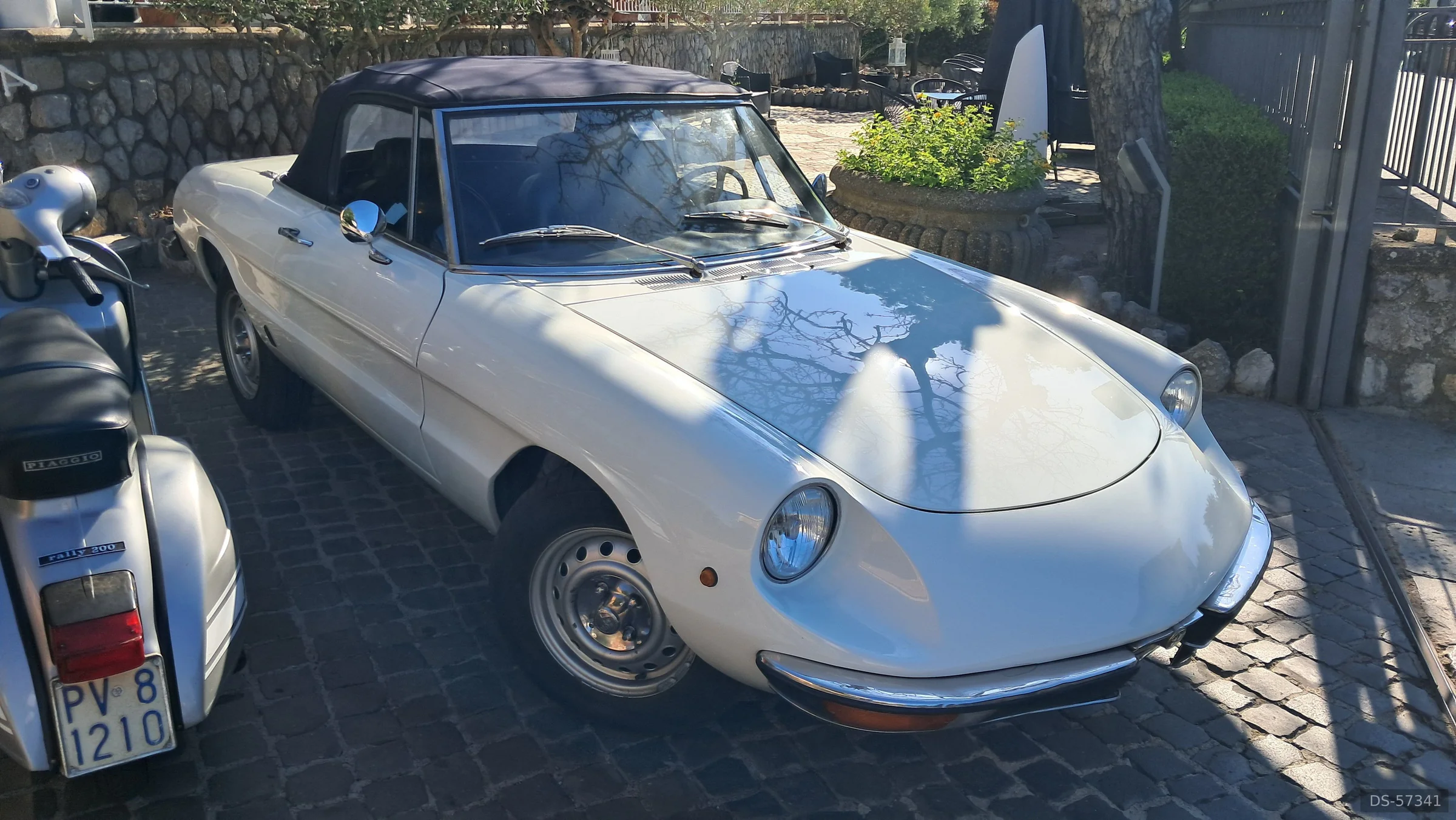 1971 Alfa Romeo Spider 1300