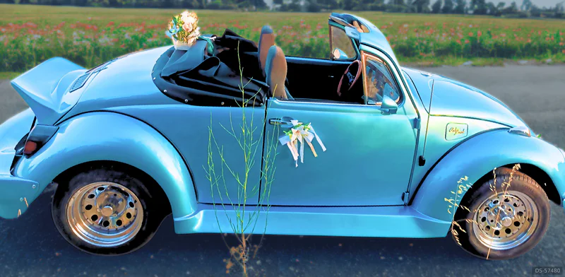 1970 Volkswagen Escarabajo in Catral 5