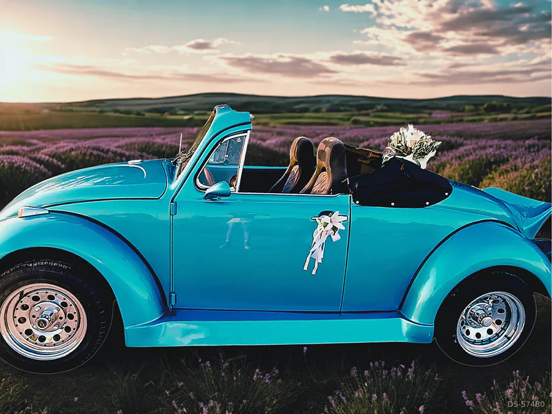 1970 Volkswagen Escarabajo in Catral 1