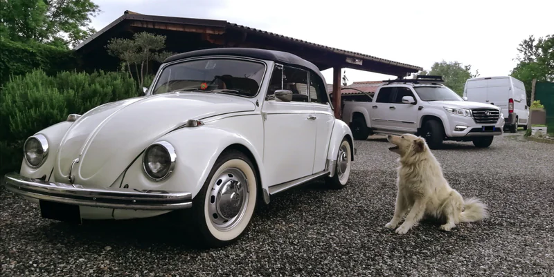 1970 Volkswagen Maggiolino Karmann Cabrio 1500 in Andezeno (to)