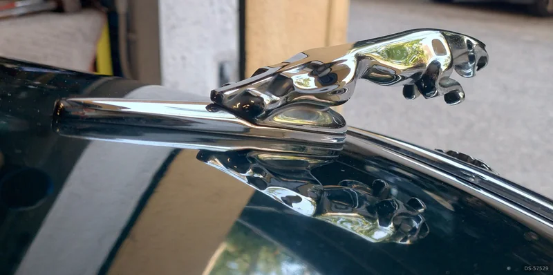 2003 Jaguar S-type V6 in Roma 3