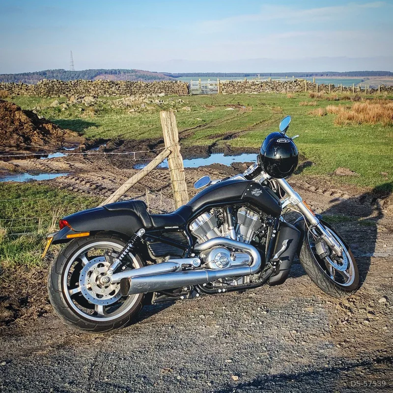 2014 Harley-Davidson V-rod Muscle