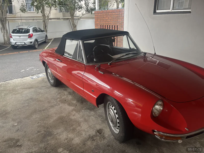 1967 Alfa Romeo 1967 Spider in Cape Town 2