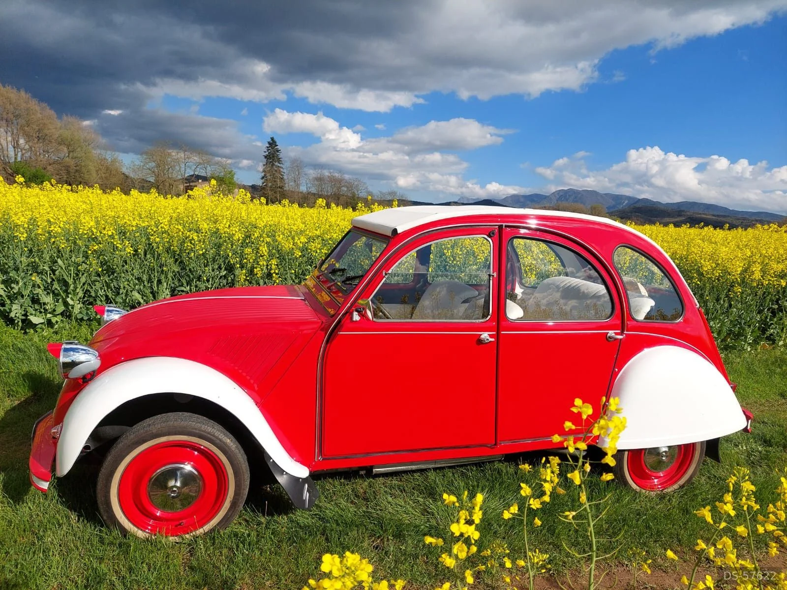 1979 Citroen 2caballos