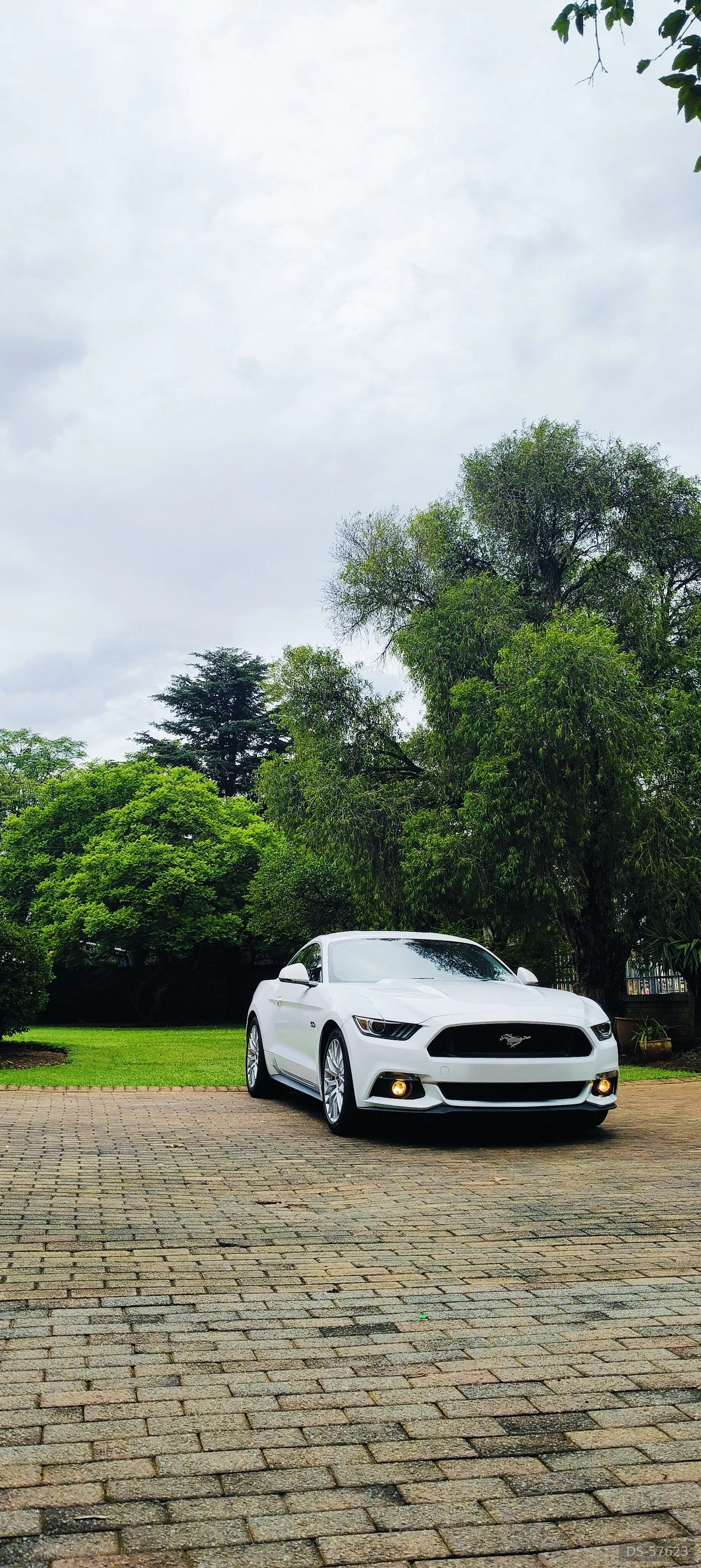 2018 Ford Mustang Gt