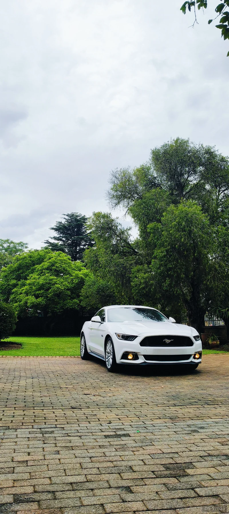 2018 Ford Mustang Gt in Roodepoort
