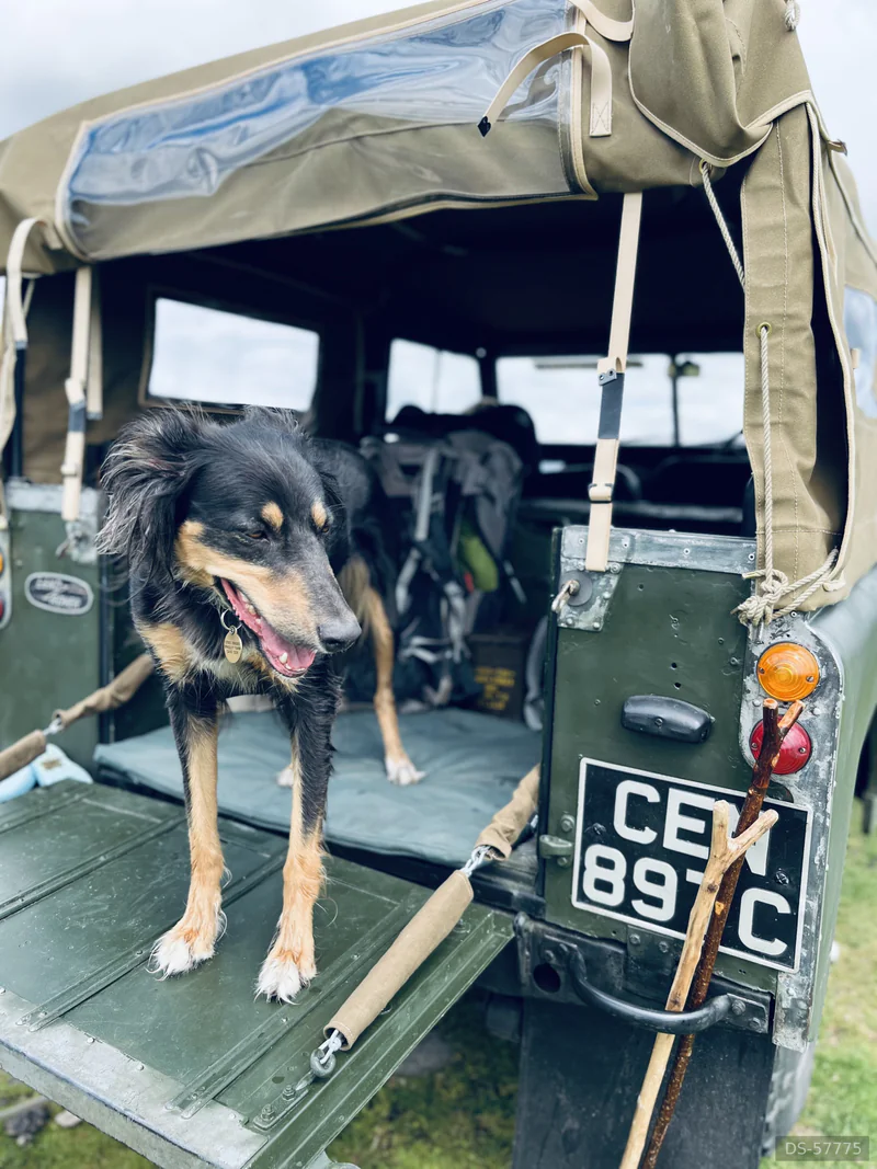 1962 Land Rover Series 2a in Penrith 5