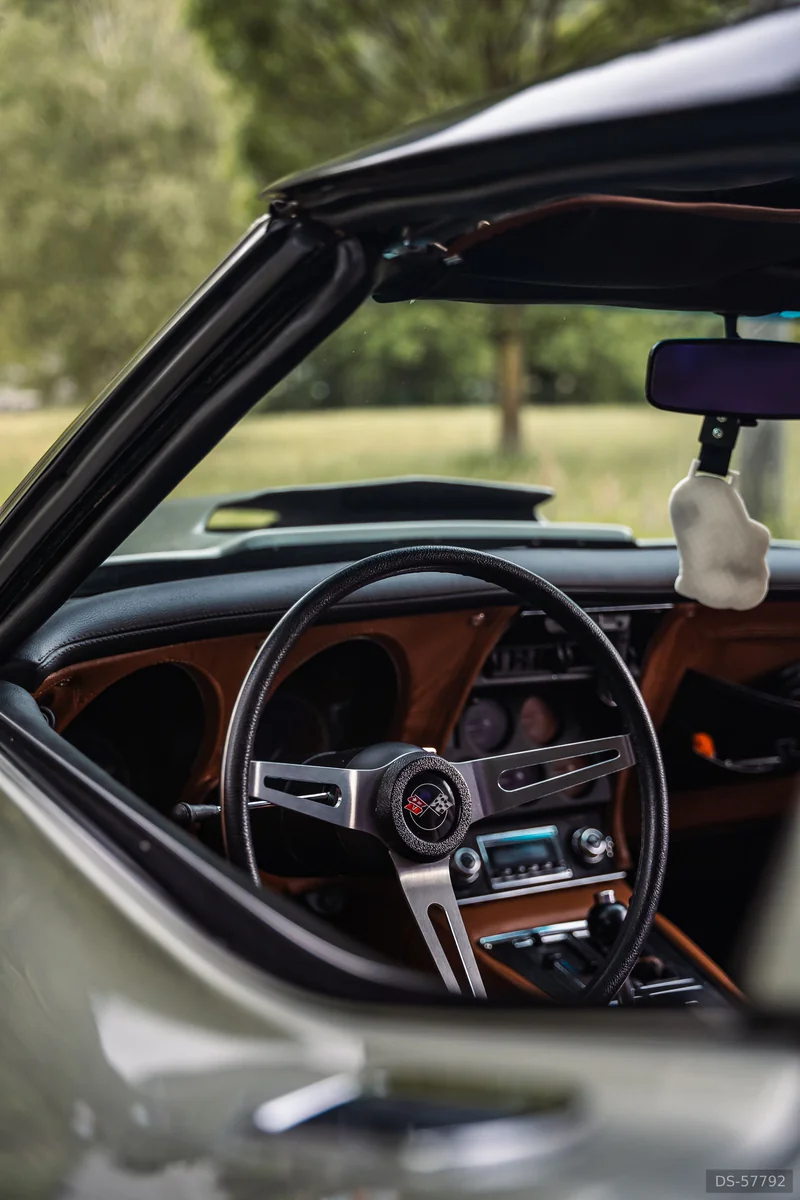 1976 Chevrolet Corvette C3 Stingray in Verbania 8