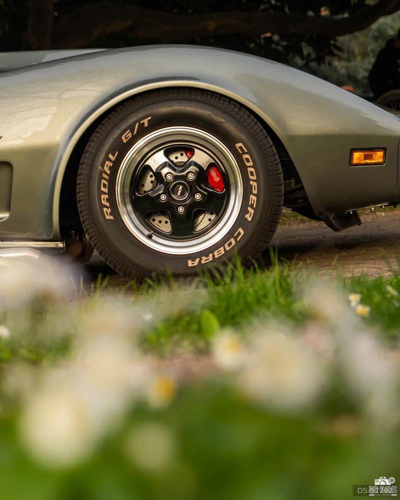 1976 Chevrolet Corvette C3 Stingray in Verbania 7