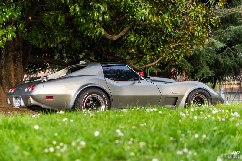 1976 Chevrolet Corvette C3 Stingray in Verbania 6
