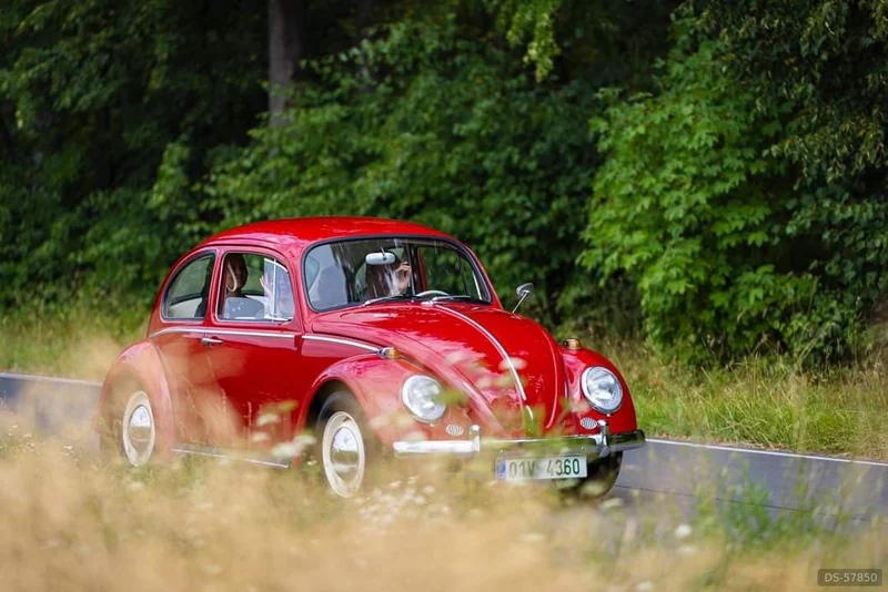 1965 Volkswagen Brouk 1965 in Milý