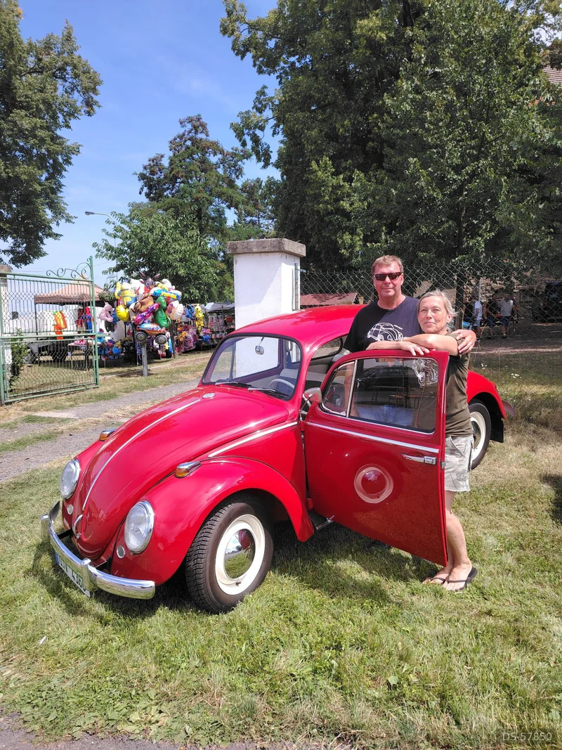 1965 Volkswagen Brouk 1965 in Milý 3