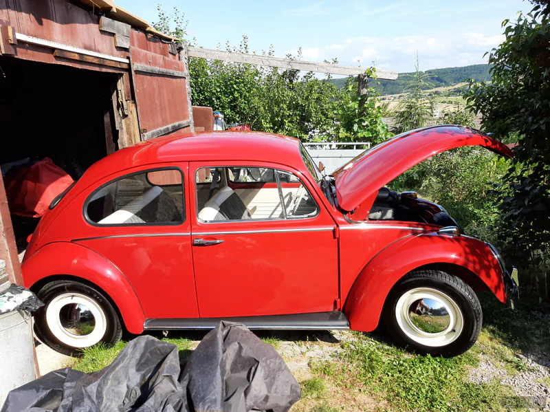 1965 Volkswagen Brouk 1965 in Milý 2
