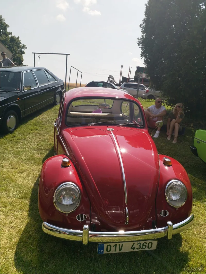 1965 Volkswagen Brouk 1965 in Milý 8
