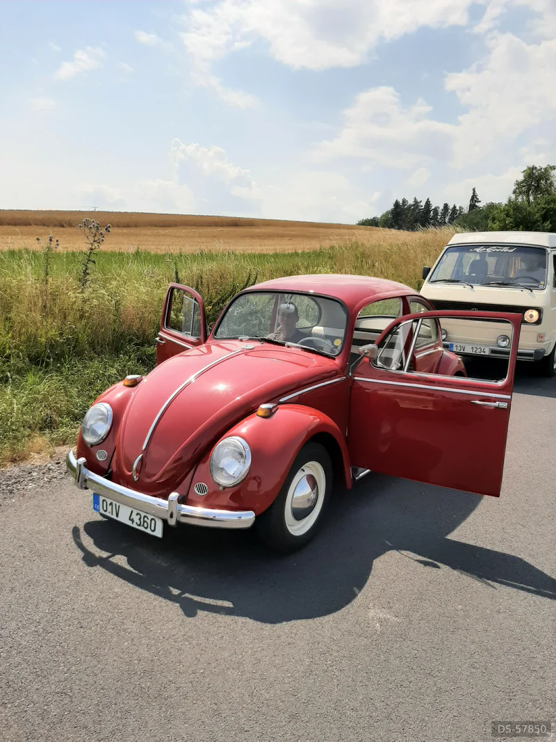 1965 Volkswagen Brouk 1965 in Milý 9