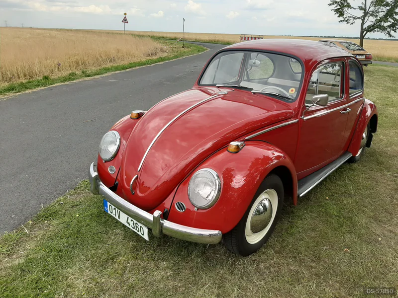 1965 Volkswagen Brouk 1965 in Milý 10
