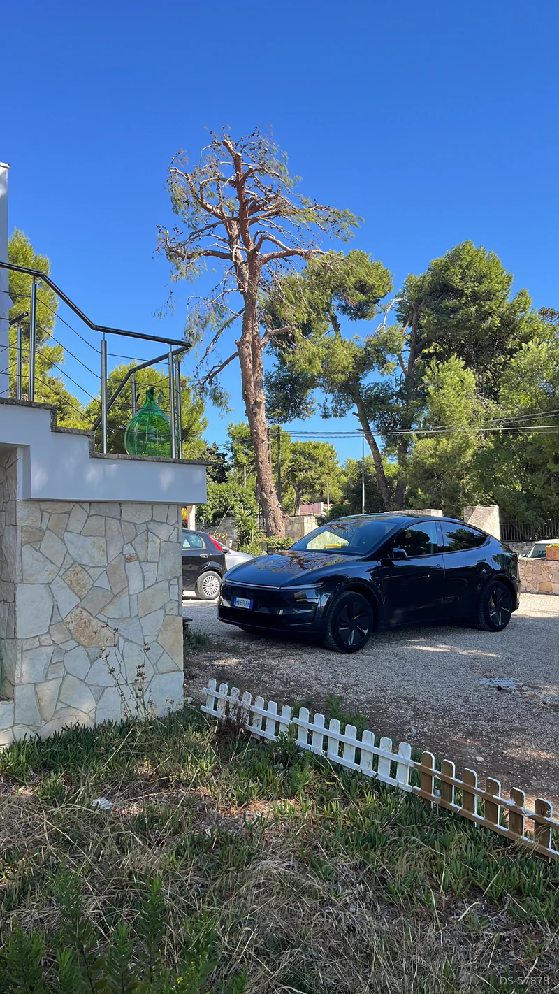 2025 Tesla Model Y in Bari 3