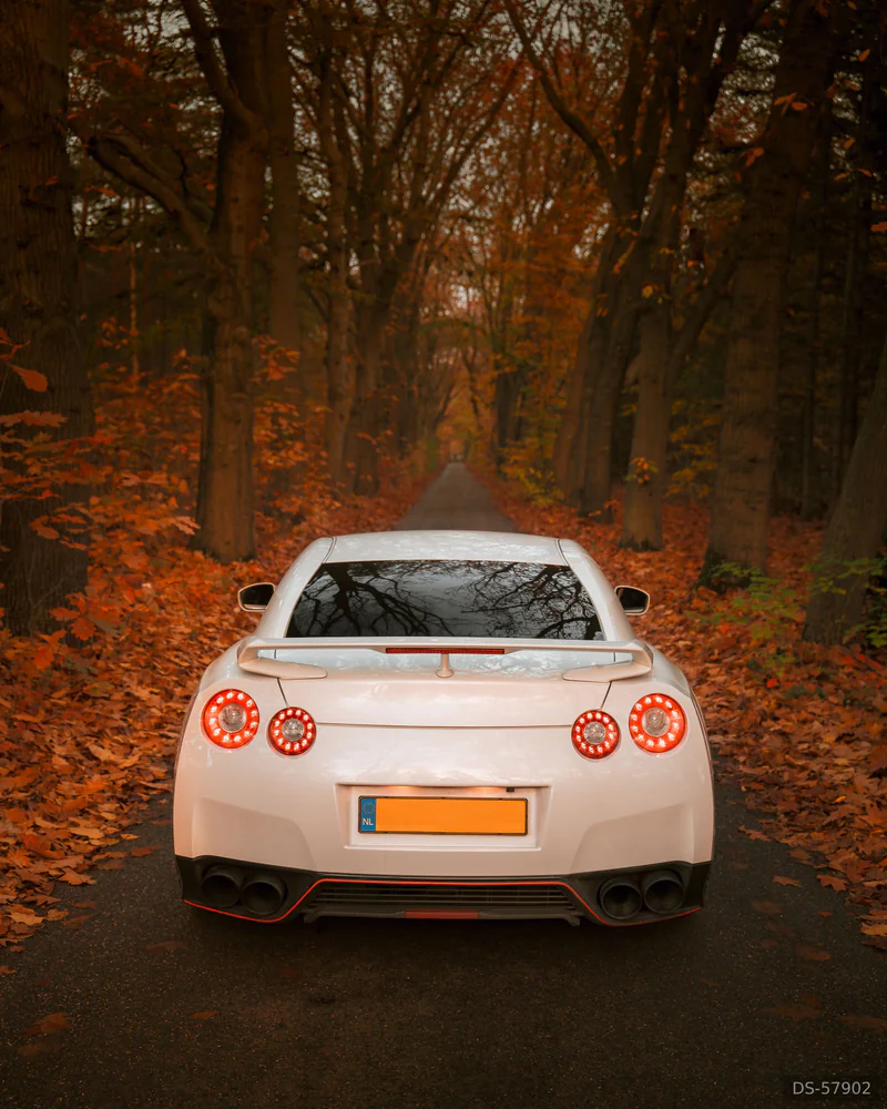 2012 Nissan Gt-r in Heenvliet 3