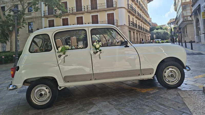 1990 Renault 4l in Palma De Mallorca