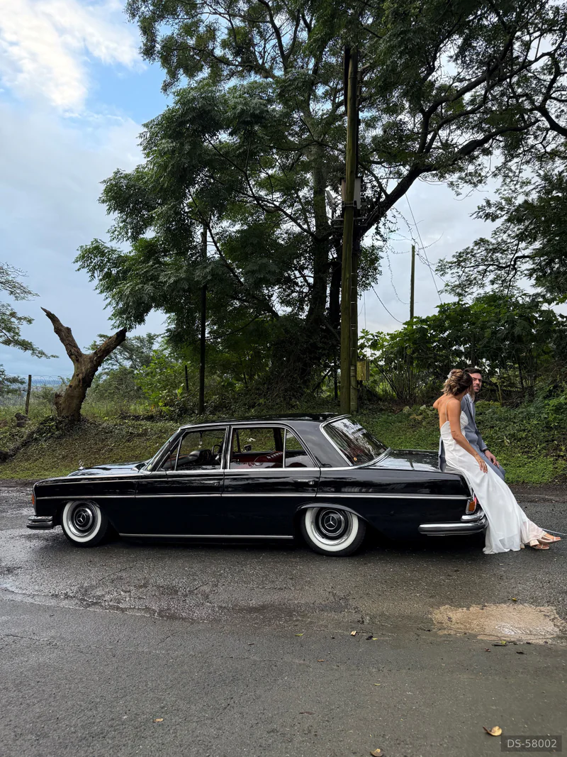 1969 Mercedes-Benz W108 280s in Bluff 5