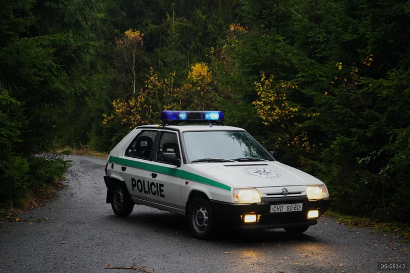 1993 Skoda Favorit in Plzeň 2