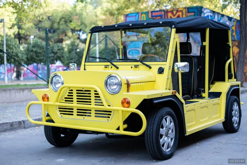 2025 Meyers Manx Buggy in Sevilla