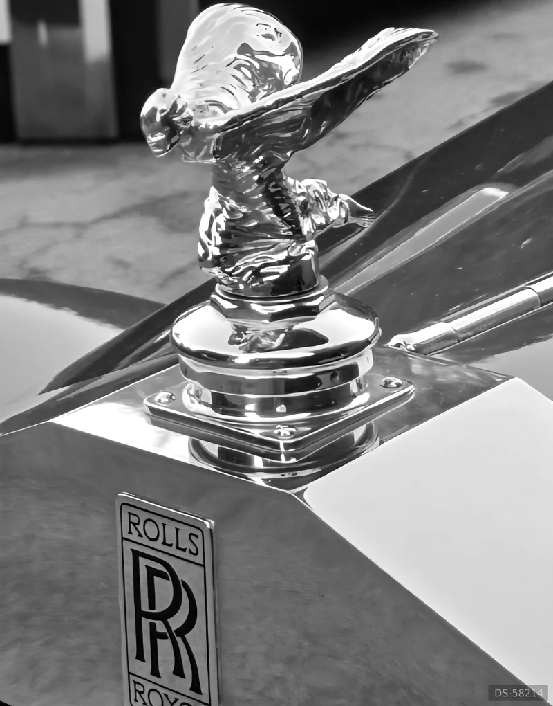 1954 Rolls-Royce Silver Dawn in Northampton 7