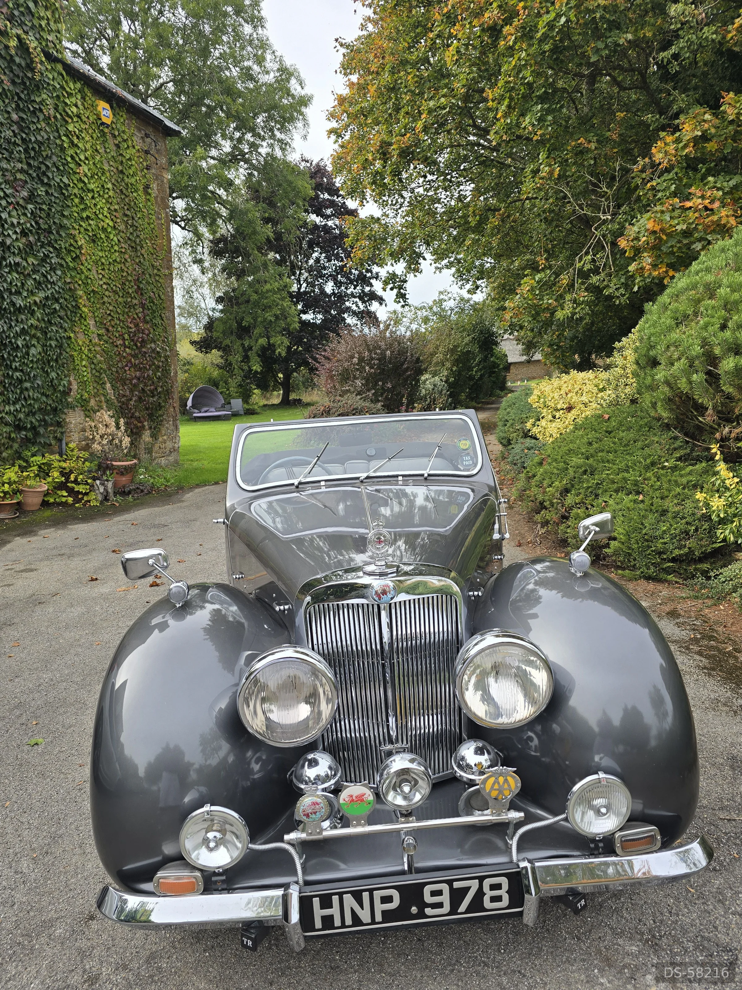 1949 Triumph Roadster