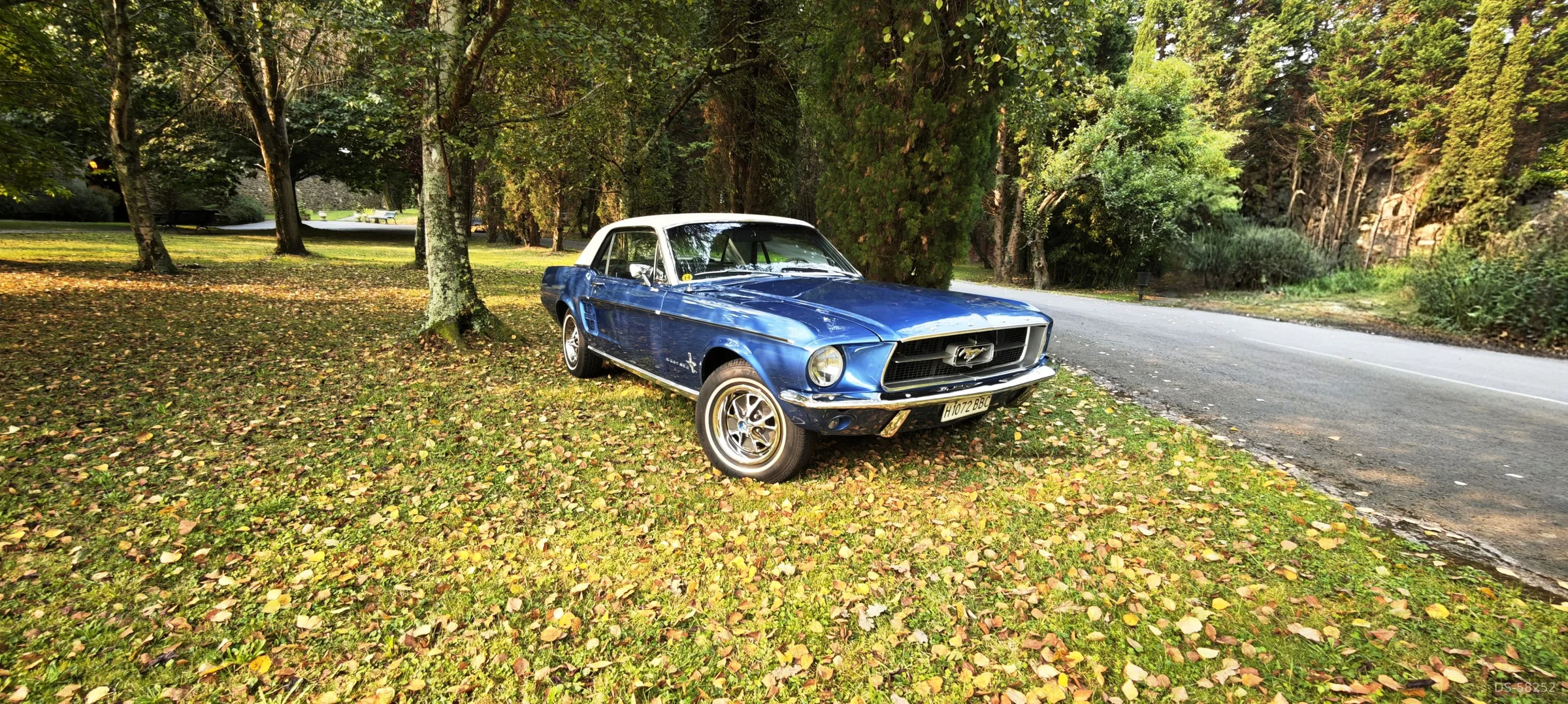 1967 Ford Mustang