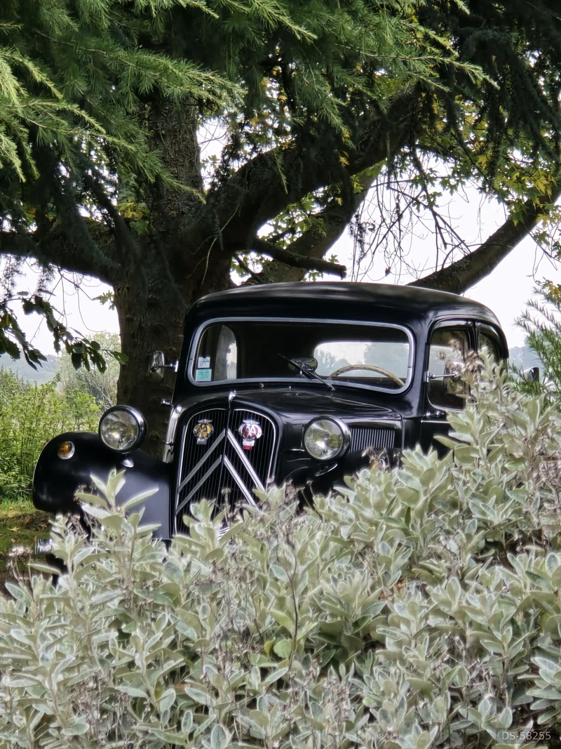 1954 Citroen Traction Avant in Byfield, Daventry 2