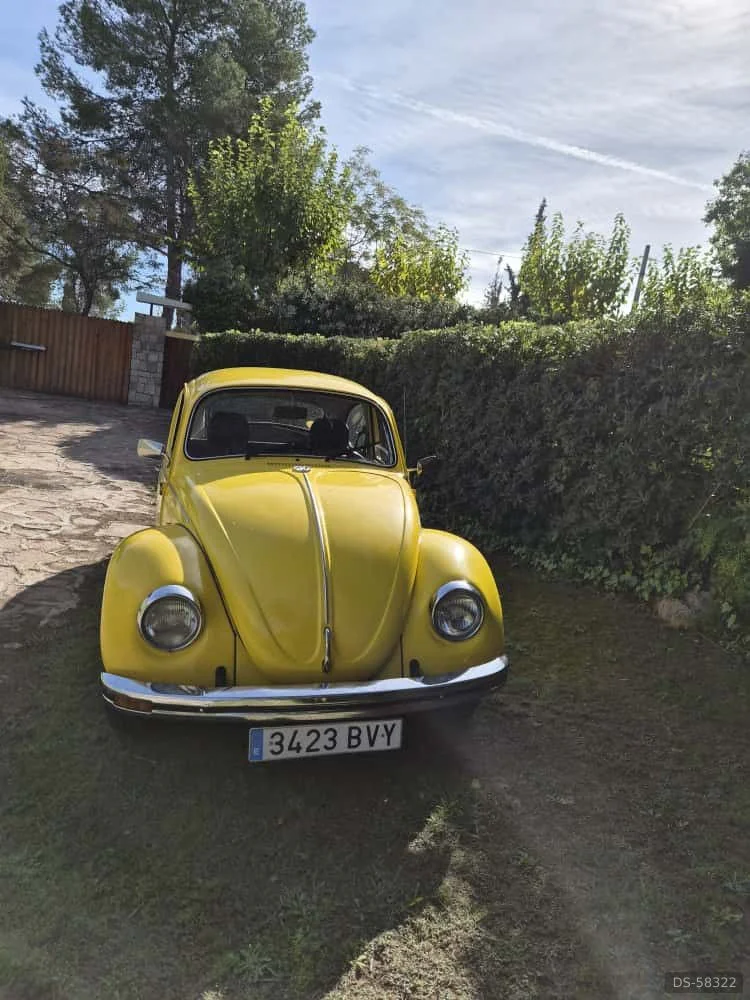1980 Volkswagen Escarabajo