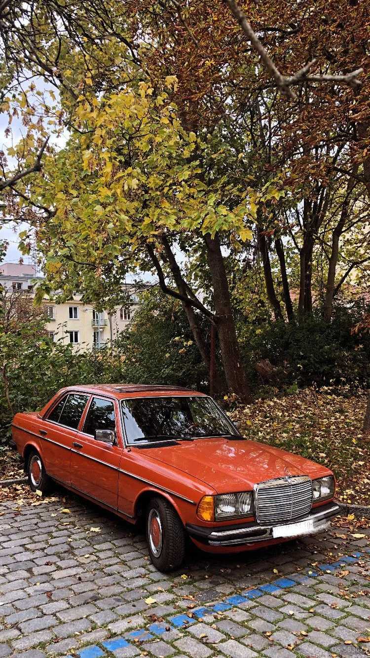 1979 Mercedes-Benz W123 200d in Praha 2