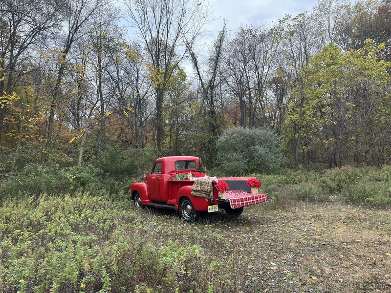 1950 GMC Truck in Franklin Lakes 2