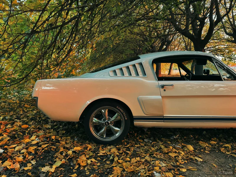 1966 Ford Mustang Gt350 in Lleida 2