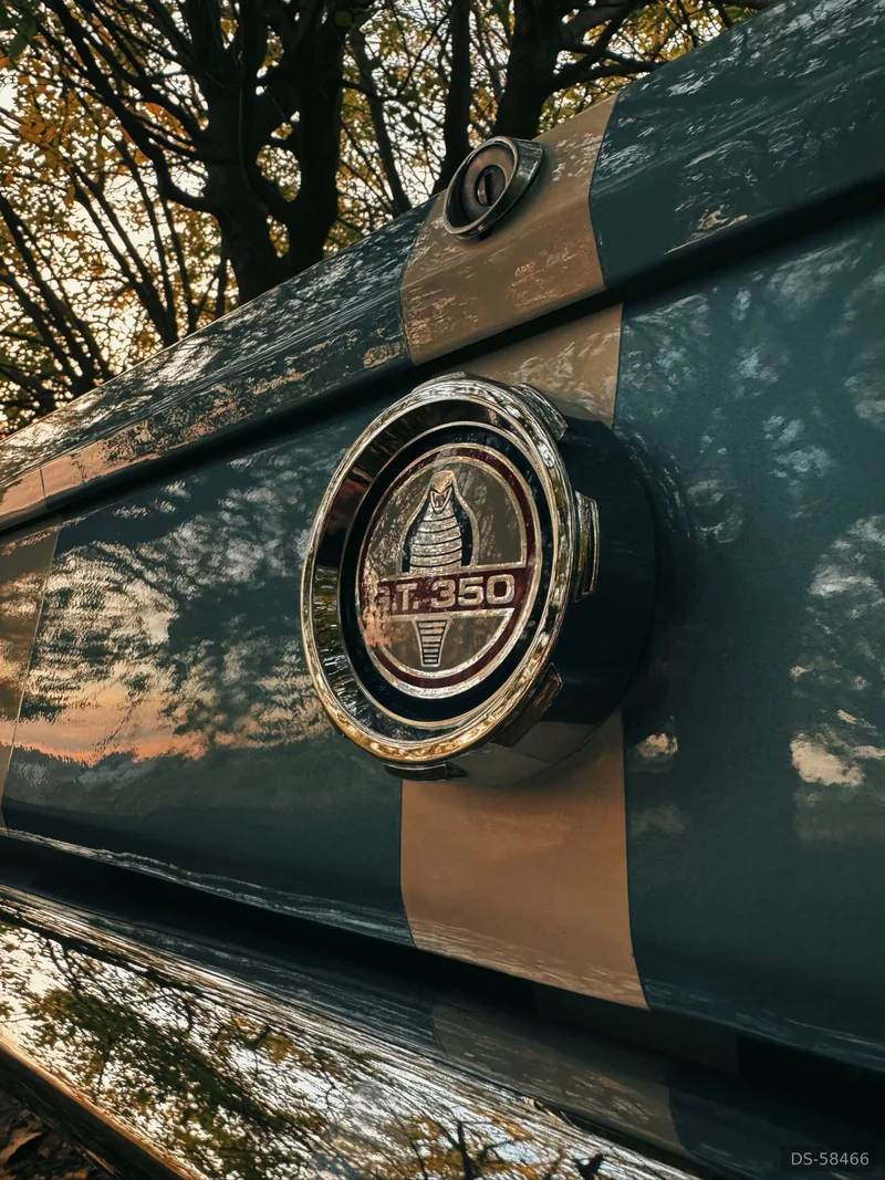 1966 Ford Mustang Gt350 in Lleida 5