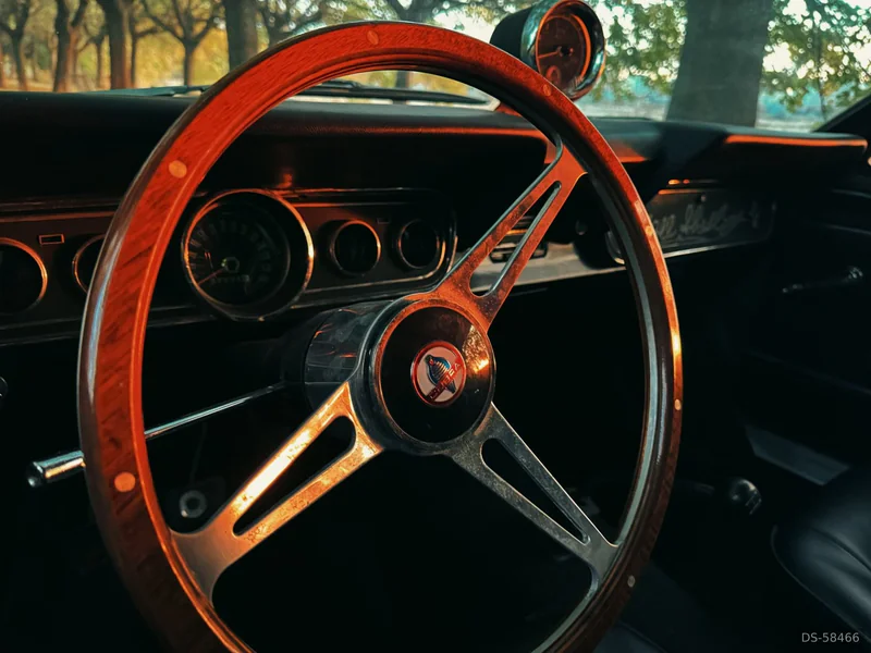 1966 Ford Mustang Gt350 in Lleida 8