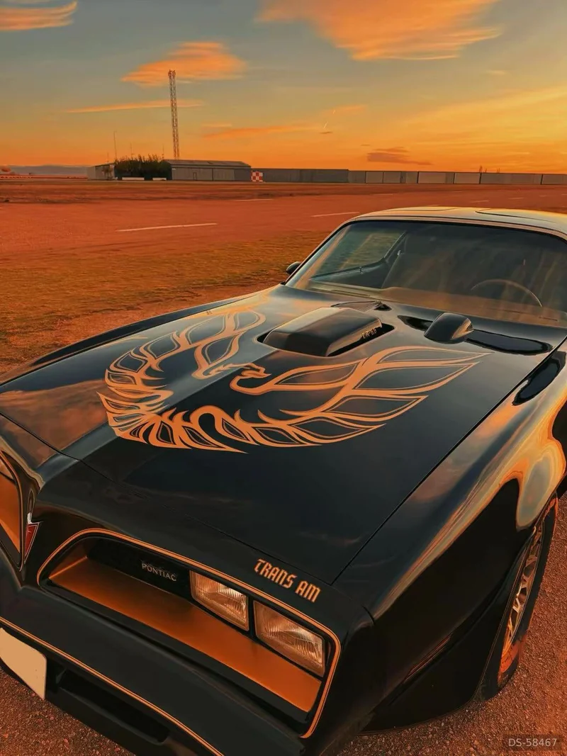 1972 Pontiac Trans Am in Lleida 3