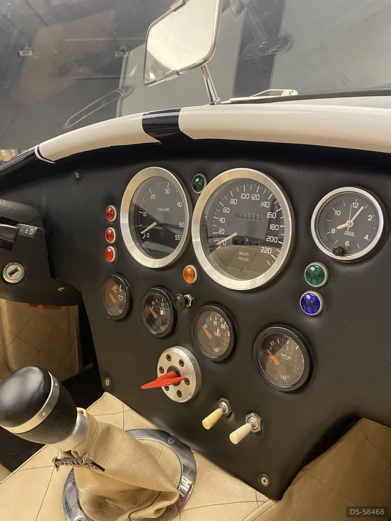 1966 Chevrolet Ac Cobra in Lleida 5