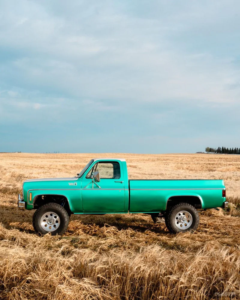 1977 Chevrolet Custom Delux