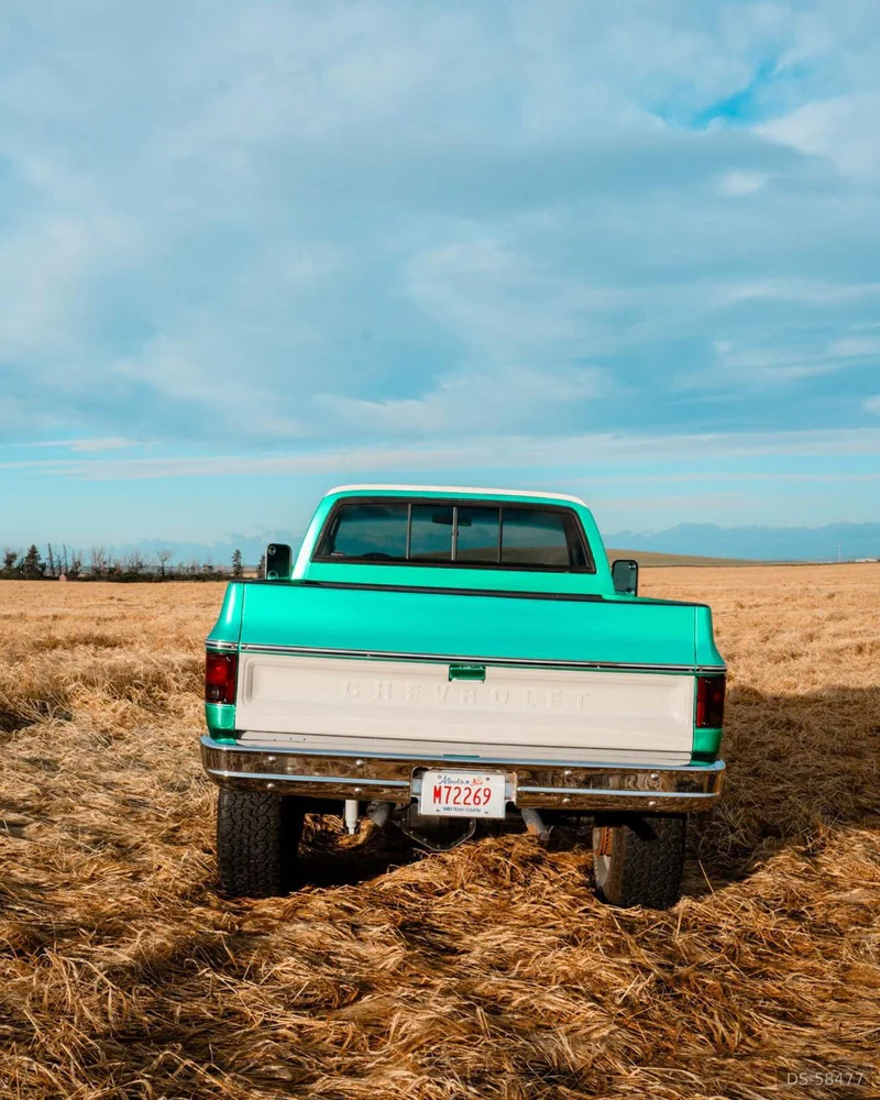 1977 Chevrolet Custom Delux in Cochrane 9