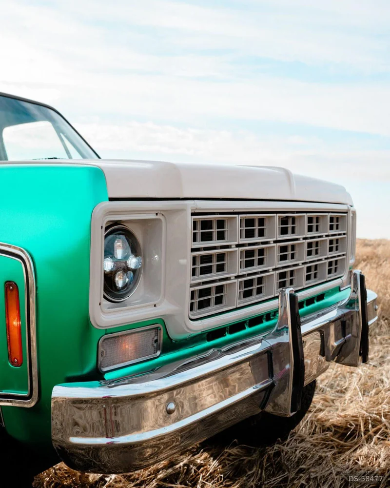 1977 Chevrolet Custom Delux in Cochrane 10