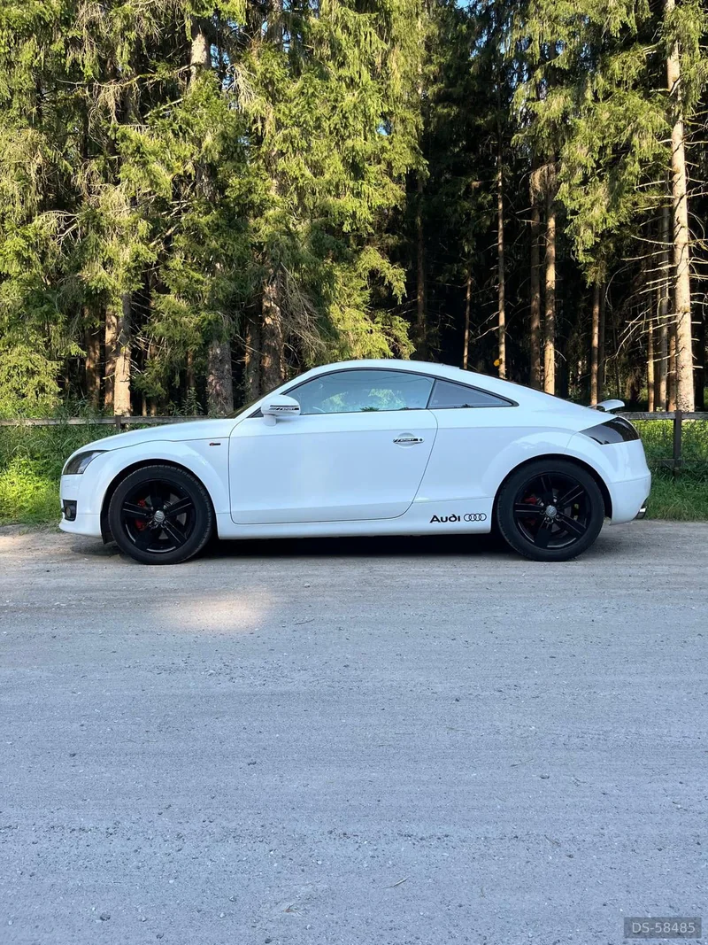 2010 Audi Tt in Udine 6