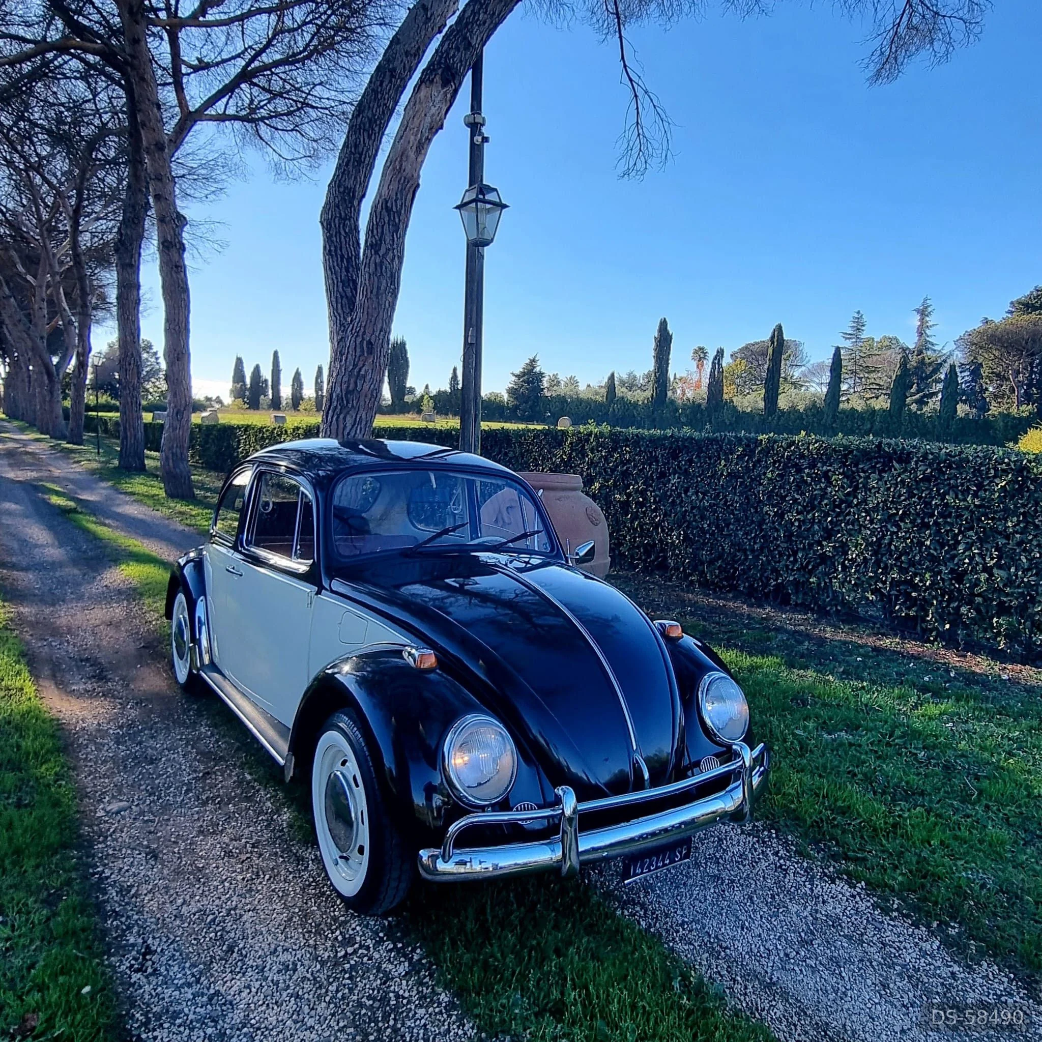 1967 Volkswagen Maggiolino 1967