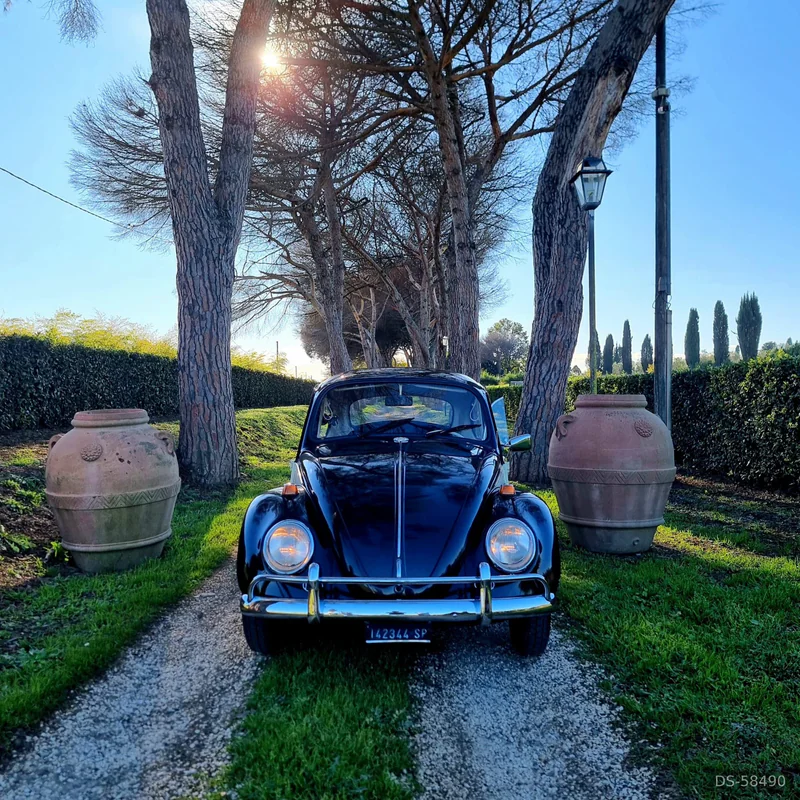 1967 Volkswagen Maggiolino 1967 in Roma 2